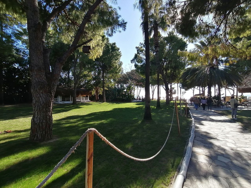 Barut Hemera