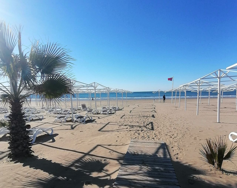 Paloma Oceana