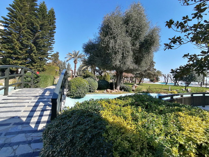 Mirage Park