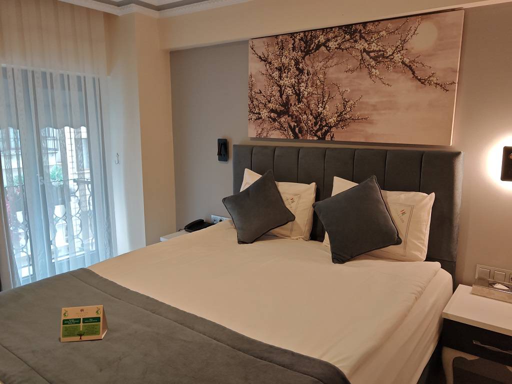 Skalion hotel 4*