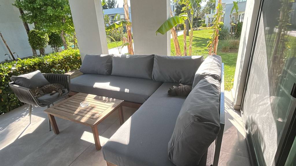 Paloma Finesse Side 5*