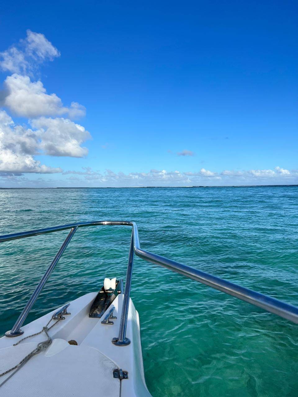 прогулку с китами