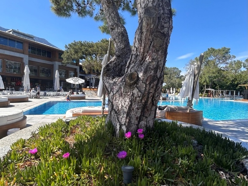 Rixos Sungate