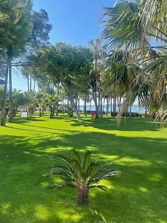Barut Acantus&Cennet collection