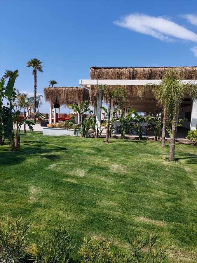 Lusso Sorgun