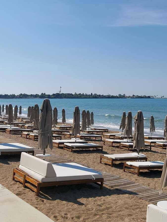 Acanthus & Cennet Barut Collection