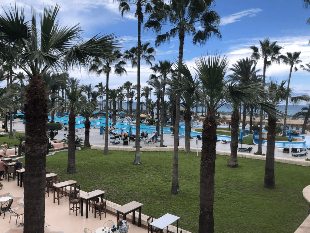 Riadh Palms 4*