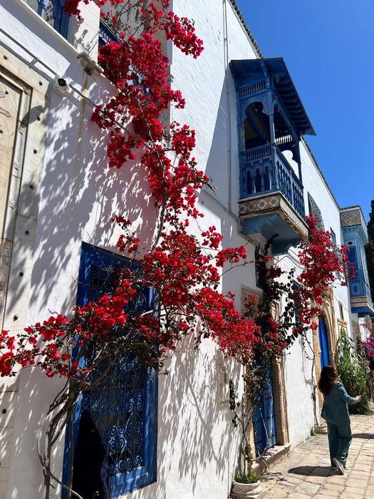 One Resort Premium Hammamet