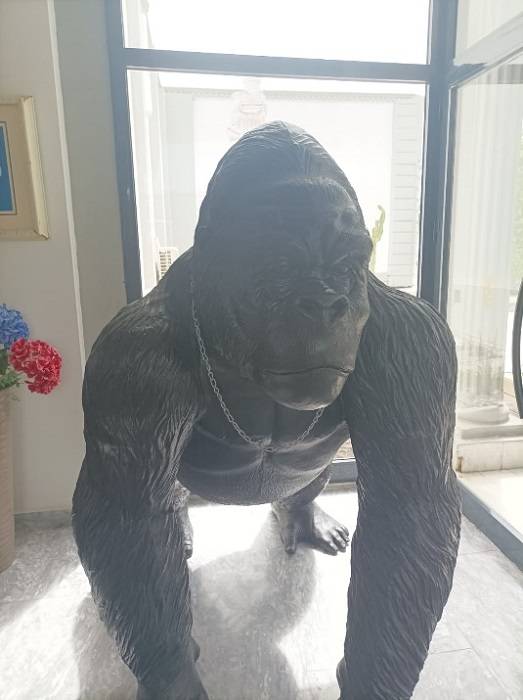 Phoenix Sun Hotel 4*