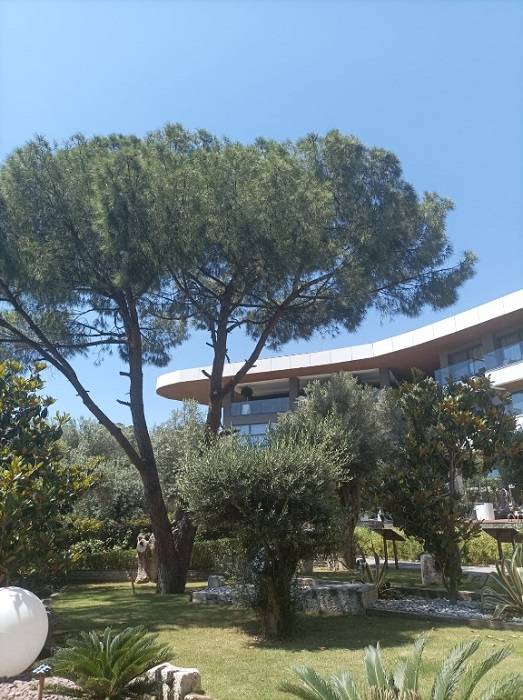 Unique Life Style Hotel 5*