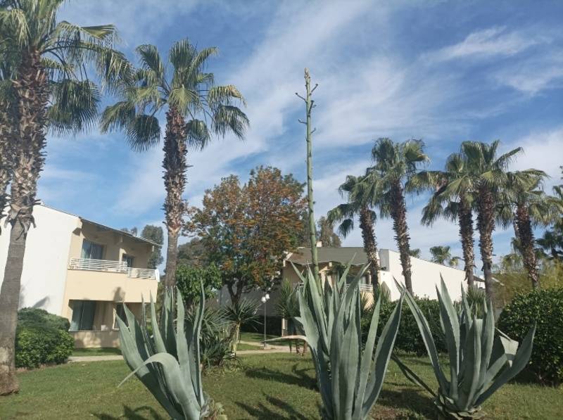 Richmond Ephesus Resort 5*