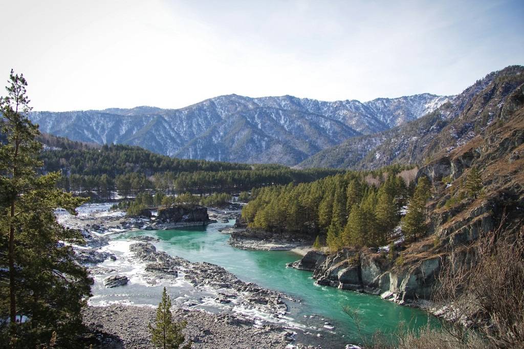 Алтай, Чемал (Unsplash)