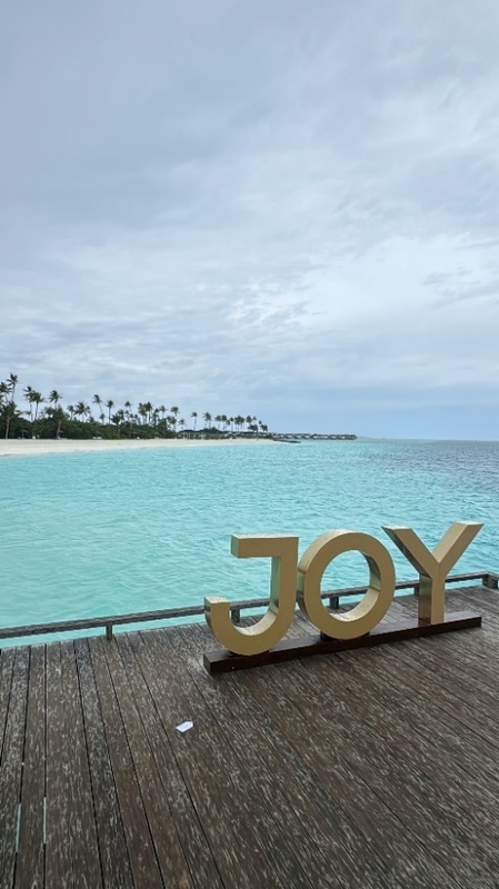 Joy Island 5*