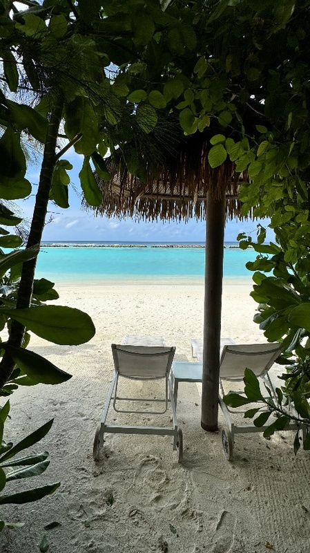 Joy Island 5*