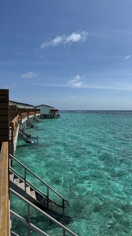 Joy Island 5*
