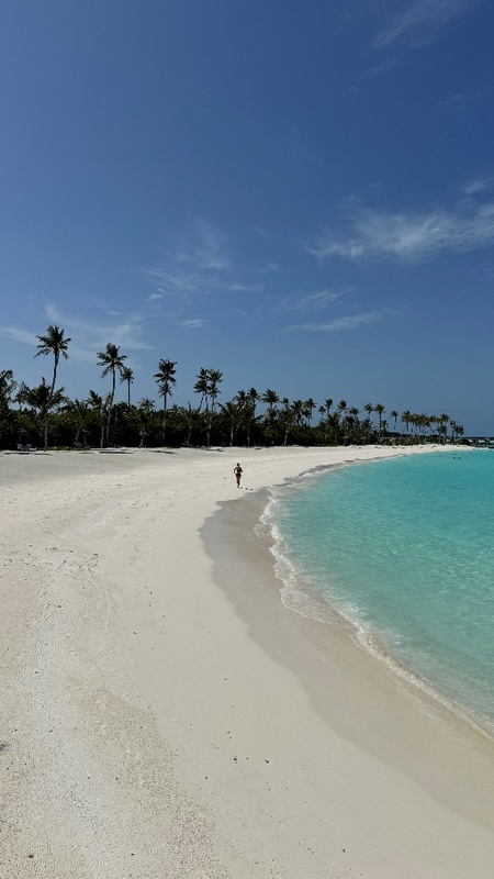 Joy Island 5*