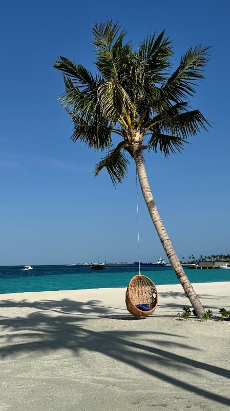 Joy Island 5*