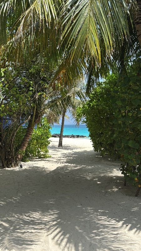 JW Marriott Maldives 5*