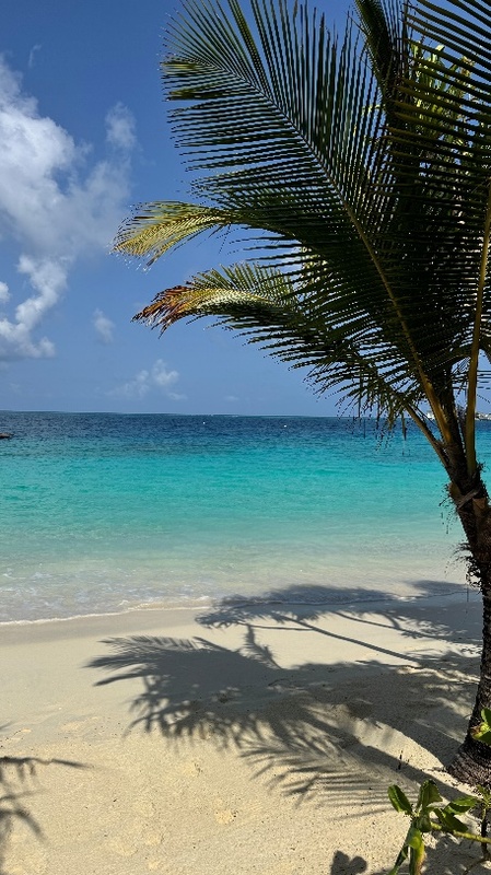 JW Marriott Maldives 5*