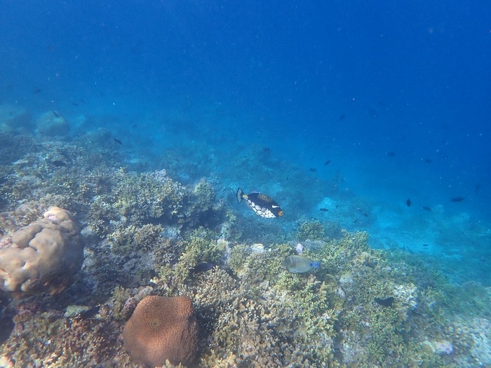 Baros Maldives 5*
