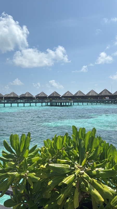 Baros Maldives 5*