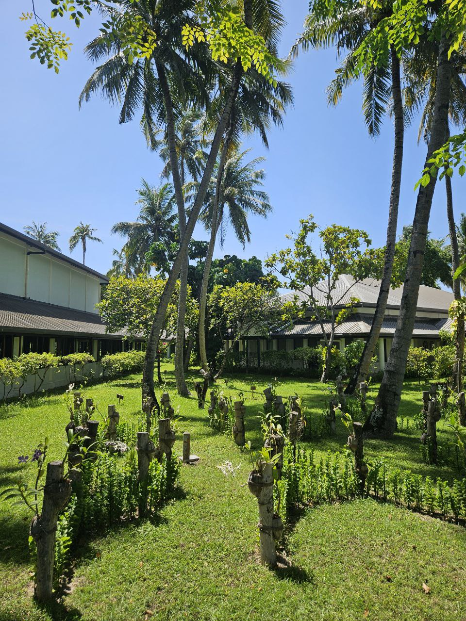 Villa Park Sun Island Resort & Spa