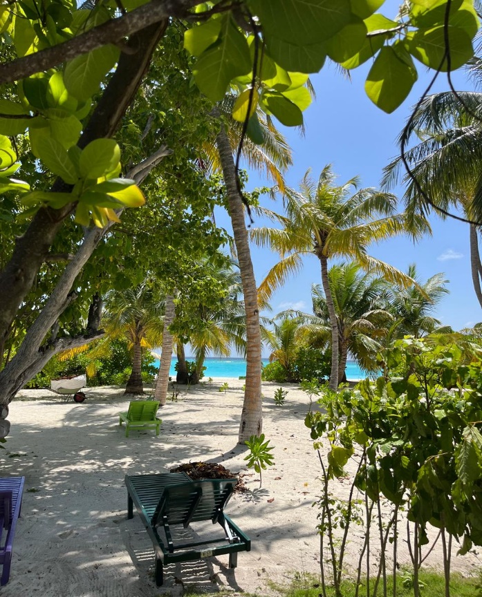 Villa Park-Sun Island 5*