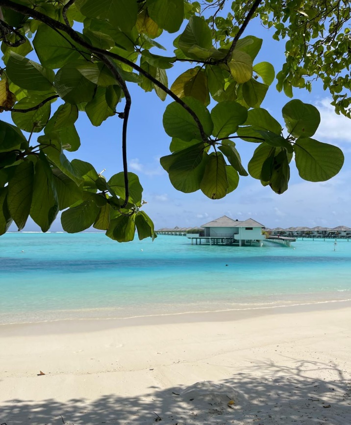 Villa Park-Sun Island 5*
