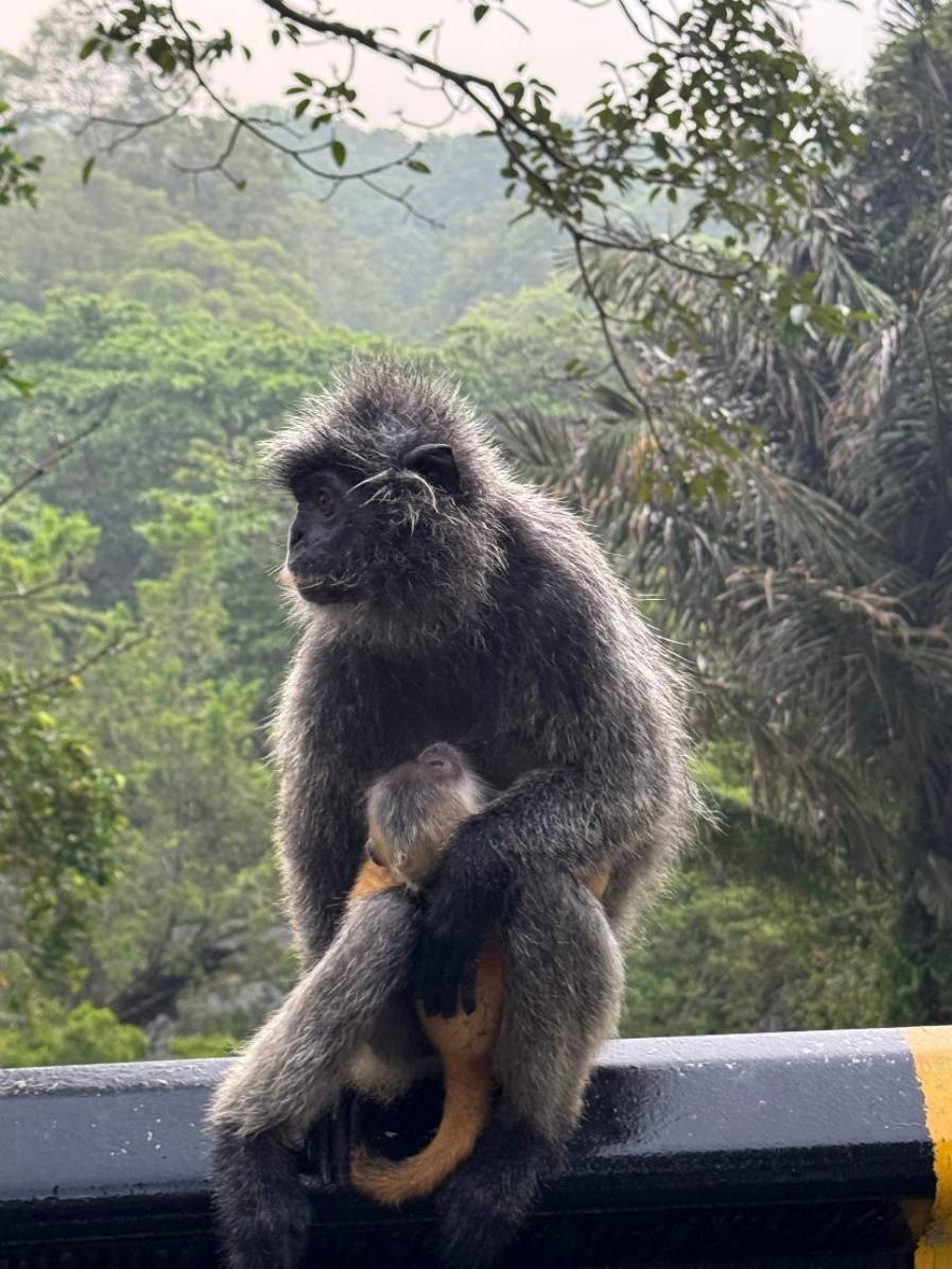 Букит Мелавати