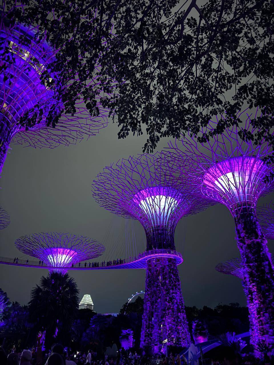 Gardens by the Bay