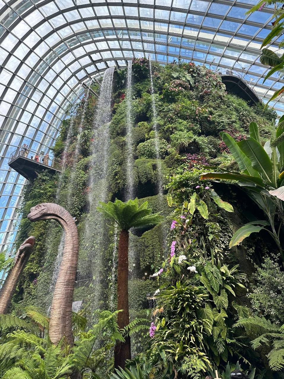 Cloud Forest (Облачный лес)