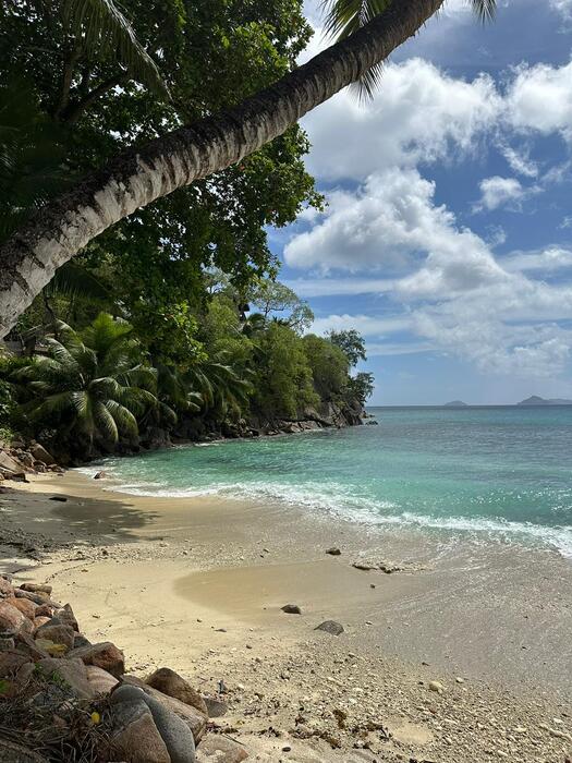 MANGO HOUSE SEYCHELLES 5*