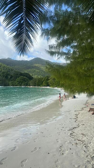 CONSTANCE EPHELIA SEYCHELLES 5*