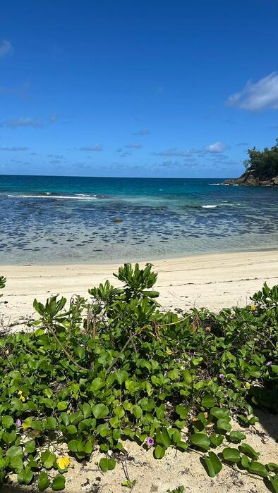 AVANI+ SEYCHELLES 5*