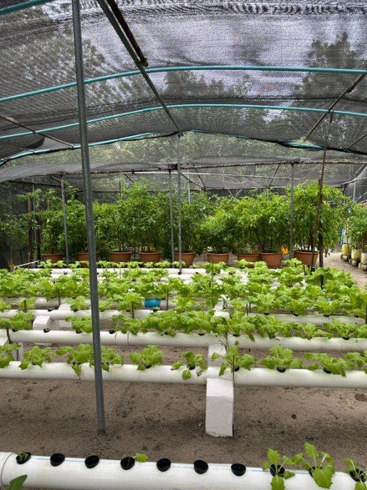 JW Marriott Maldives Resort & Spa