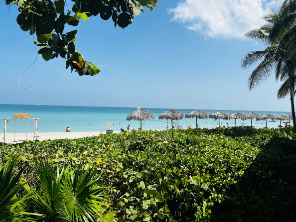 MELIA LAS AMERICAS