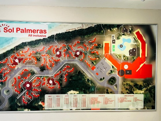 SOL PALMERAS