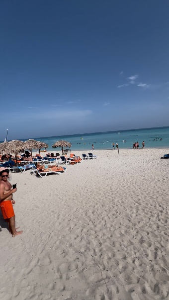SOL PALMERAS