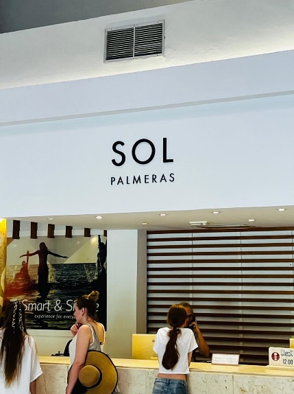 SOL PALMERAS