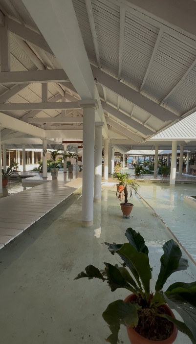 PARADISUS VARADERO