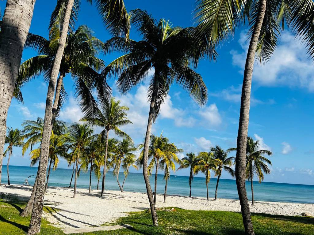 PARADISUS VARADERO