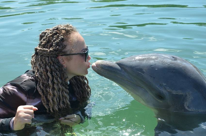 Дельфинарий, Куба