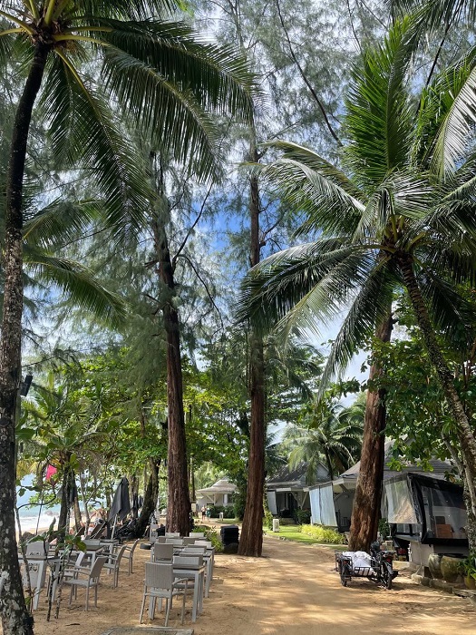 Moracea by Khao Lak