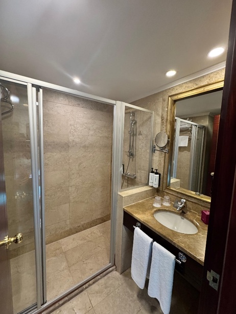 Crowne Plaza Istanbul - Old City