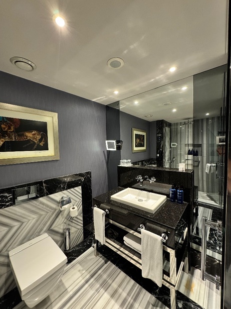 Radisson Blu Hotel İstanbul Pera