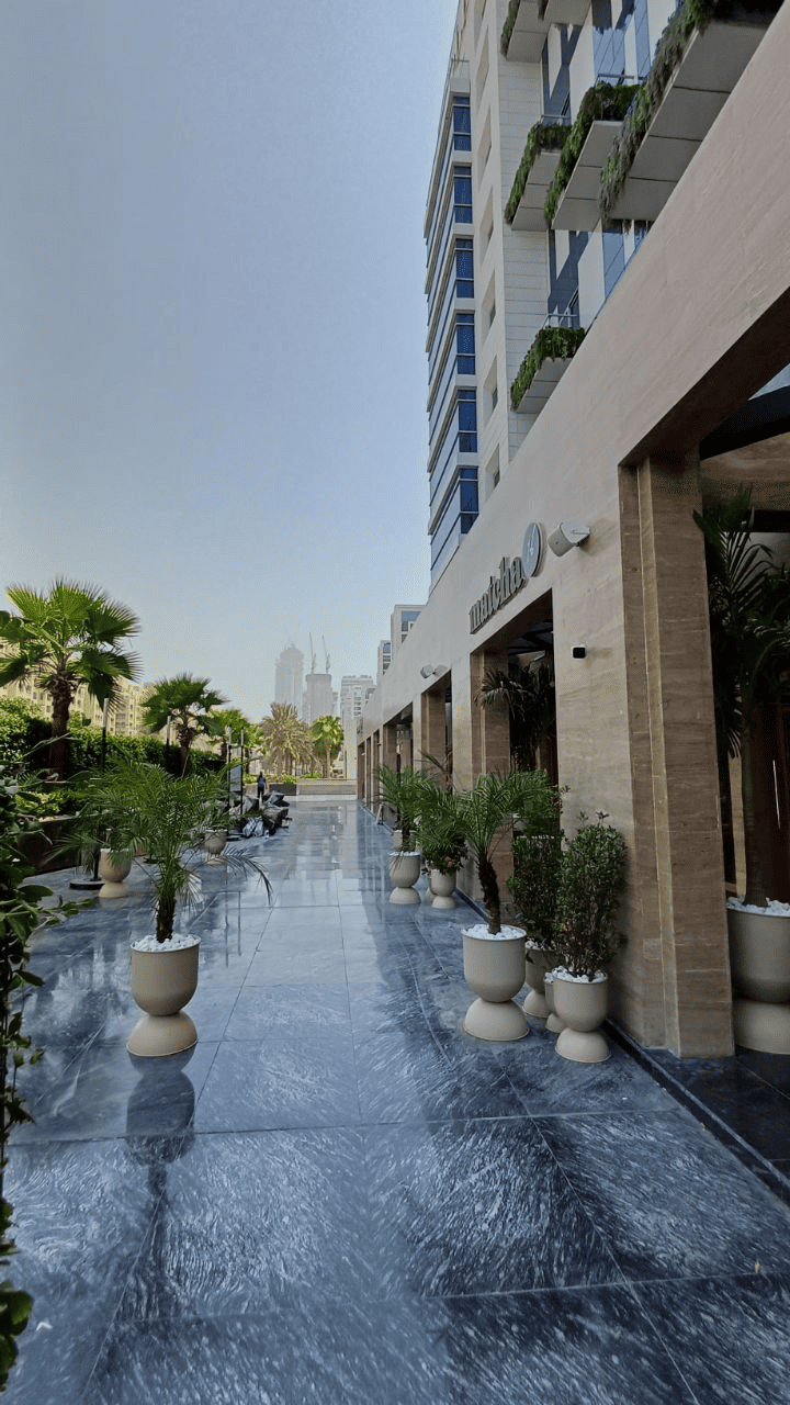 Mileo The Palm 5*