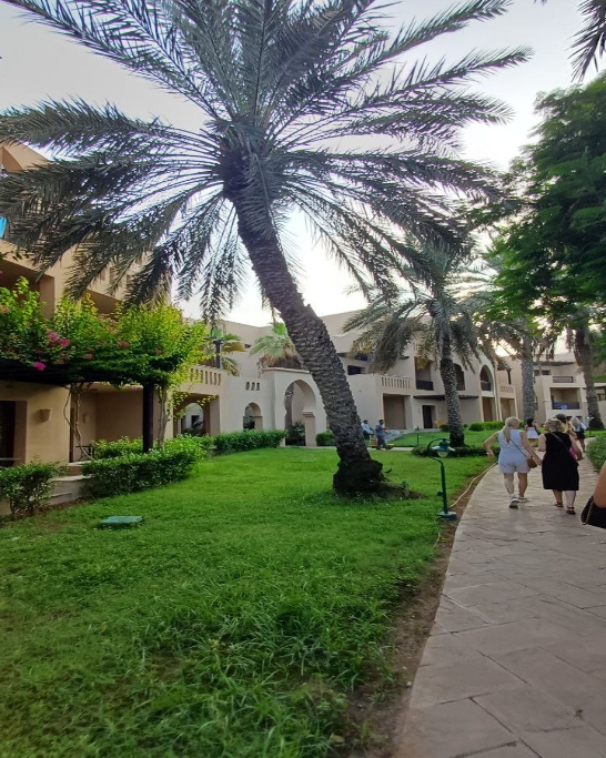 Miramar Al Aqah Beach Resort 5*