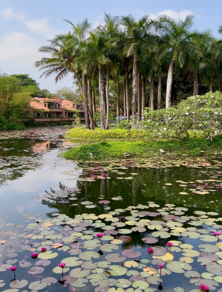 The St. Regis Goa Resort (Ex. The Leela Goa) 5* 