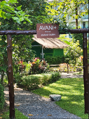 Avani+ Khao Lak Resort