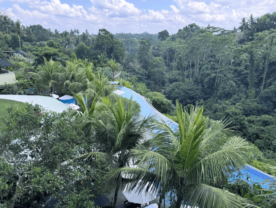 WESTIN UBUD 5*